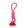 Juguete de Cuerda para Perros Hearts & Homies - Rosa