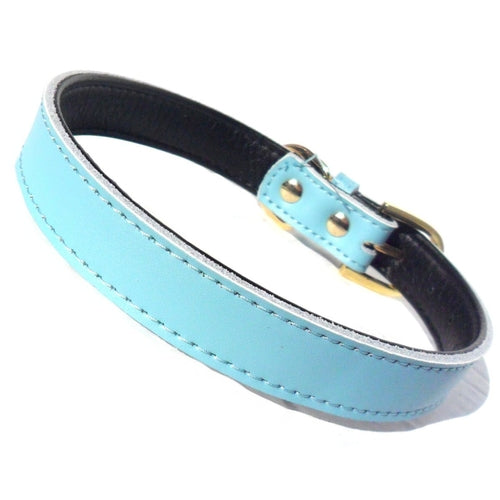 Collar Chelsea para Perros - 4 Tallas