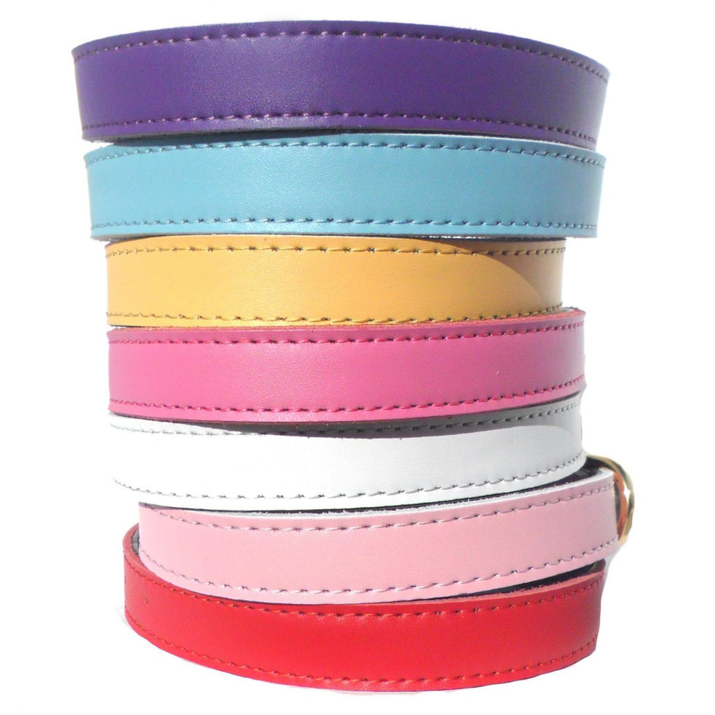 Collar Chelsea para Perros - 4 Tallas