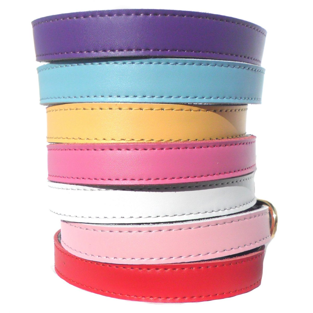 Collar Chelsea para Perros - 4 Tallas