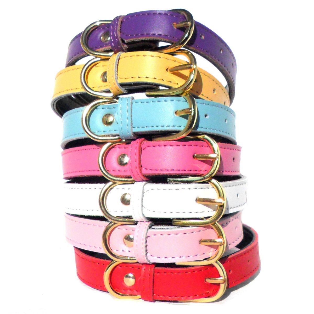 Collar Chelsea para Perros - 4 Tallas