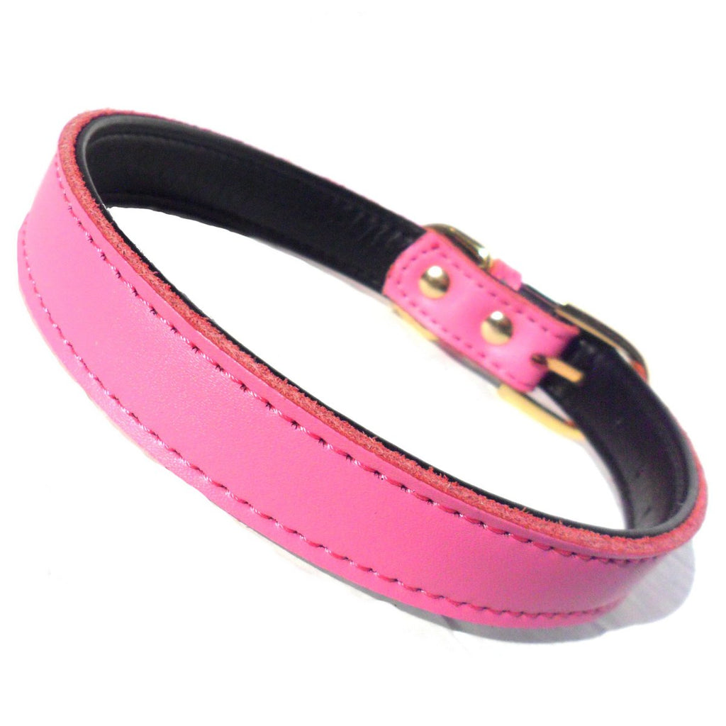 Collar Chelsea para Perros - 4 Tallas
