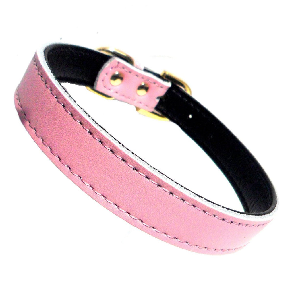 Collar Chelsea para Perros - 4 Tallas