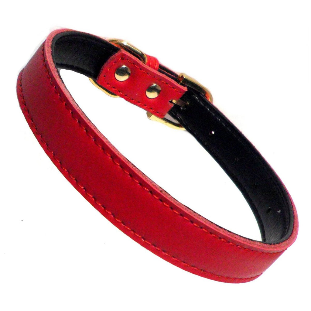 Collar Chelsea para Perros - 4 Tallas