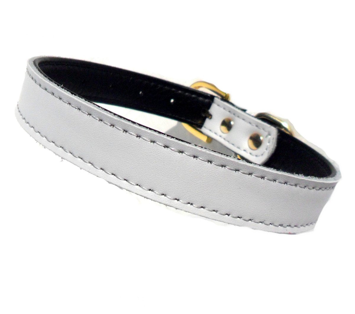 Collar Chelsea para Perros - 4 Tallas