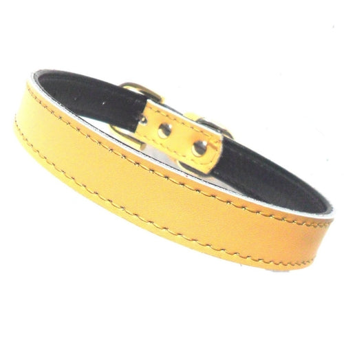 Collar Chelsea para Perros - 4 Tallas