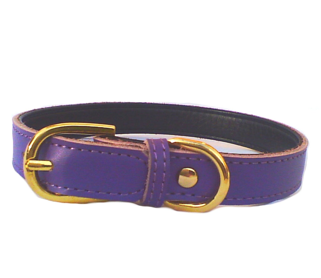 Collar Chelsea para Perros - 4 Tallas
