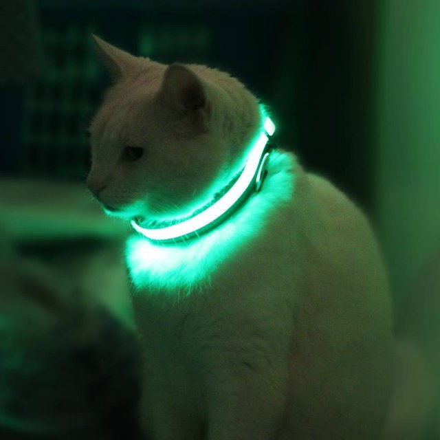 Collar Luminoso LED HALO MINI para Perros