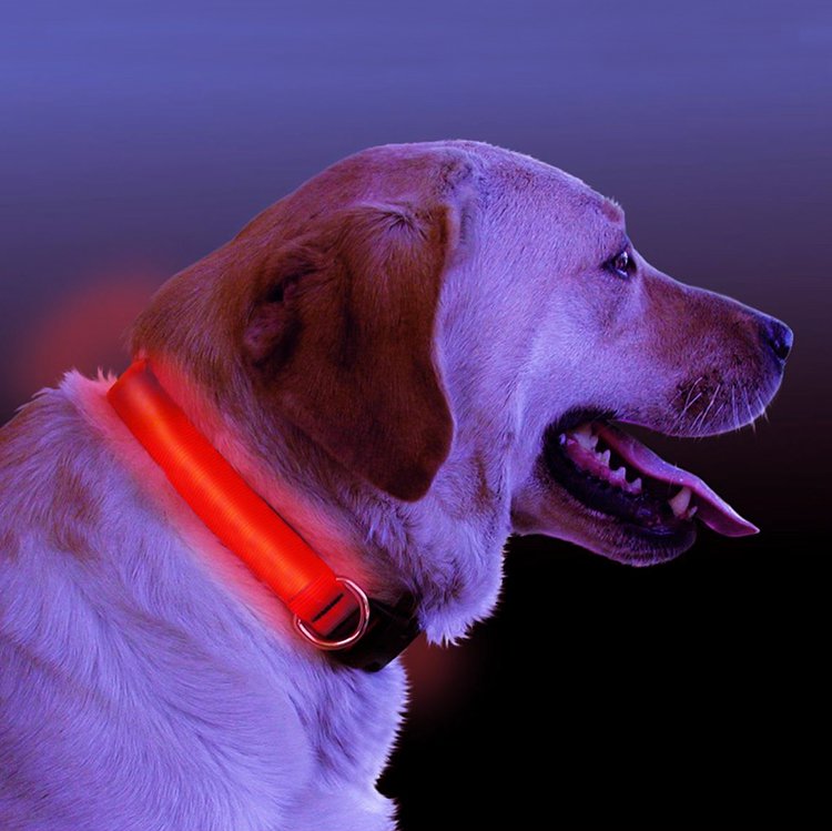 Collar Luminoso LED HALO MINI para Perros