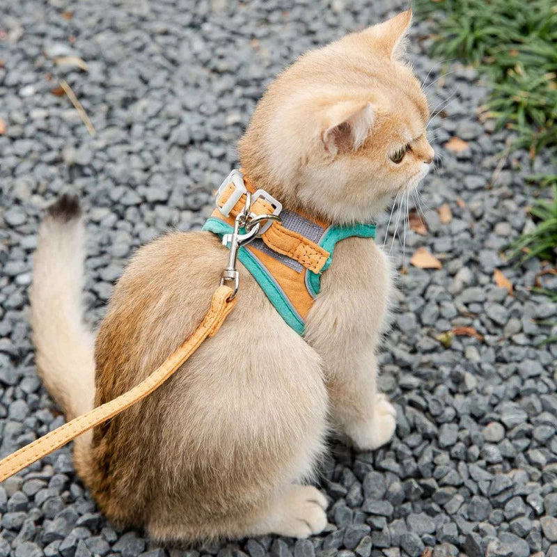 Arnés Reflectante para Gatos con Correa Ajustable